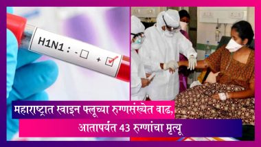 Swine flu In Maharashtra: महाराष्ट्रात स्वाइन फ्लूच्या रुग्णसंख्येत वाढ, आतापर्यंत 43 रुग्णांचा मृत्यू